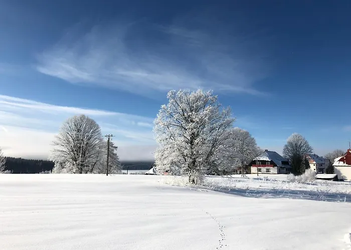 Hotel Fontána Lipno 3*